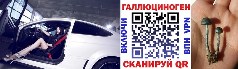 Галлюциногенные грибы Psilocybine cubensis  Сыктывкар 