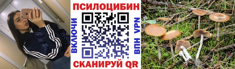 Псилоцибиновые грибы GOLDEN TEACHER Сыктывкар
